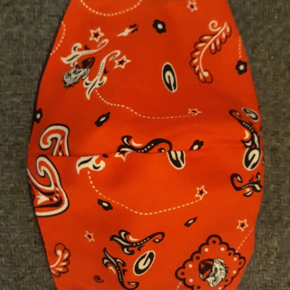 Reversible face mask, Georgia Bulldog Paisley